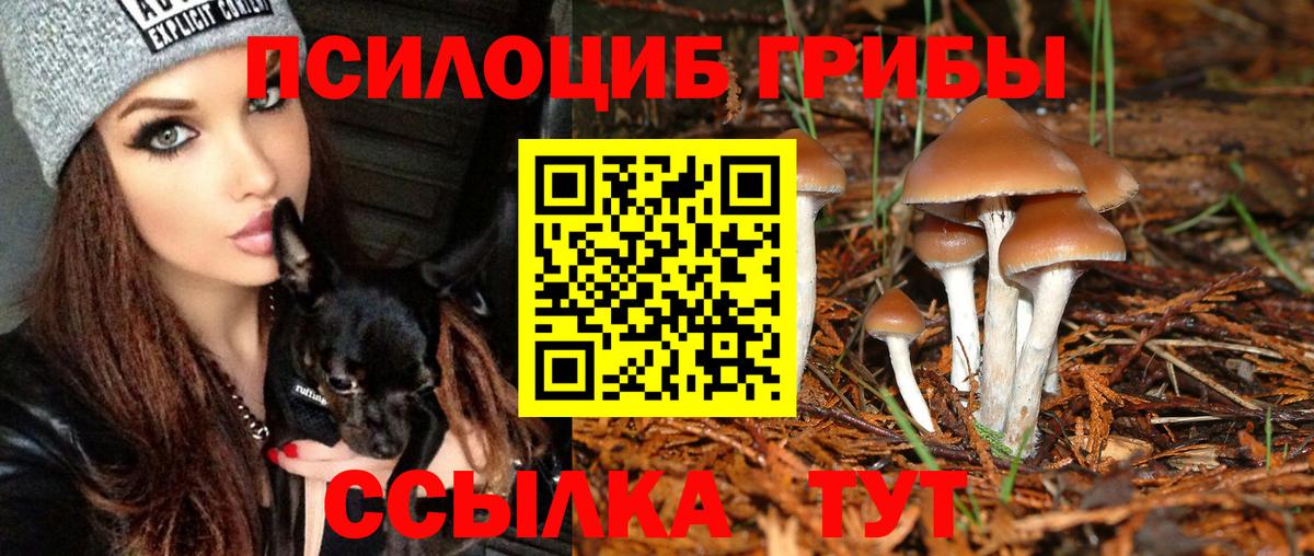 Галлюциногенные грибы Psilocybine cubensis Лангепас
