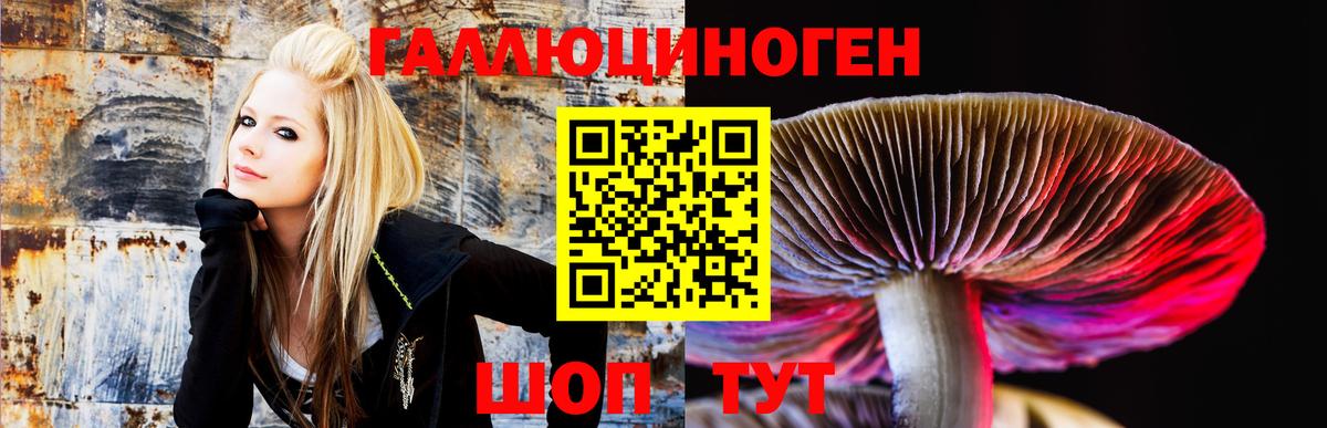Галлюциногенные грибы прущие грибы  наркота  Лангепас  Вход с VPN 